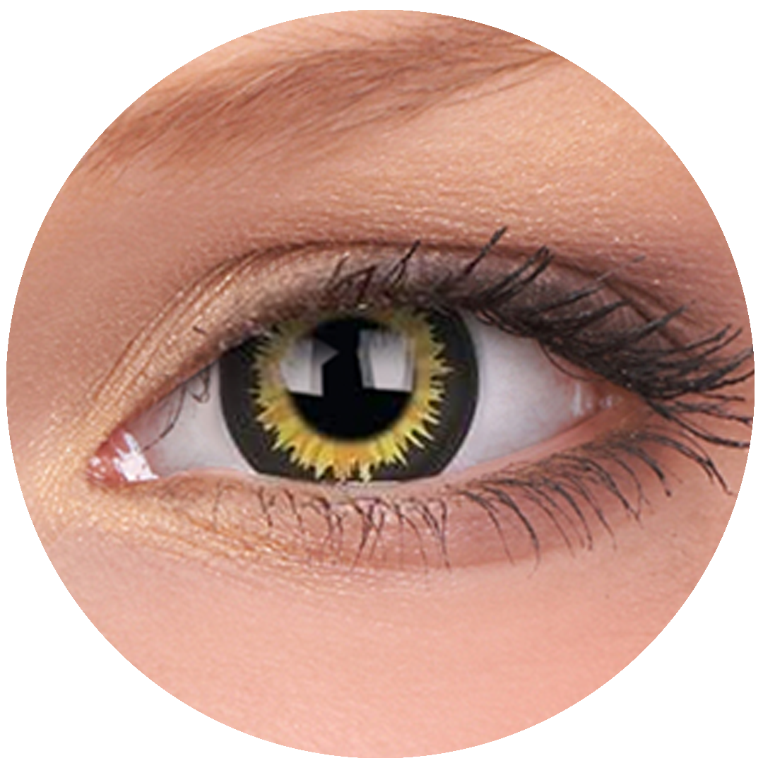 Luminor Contact Lenses
