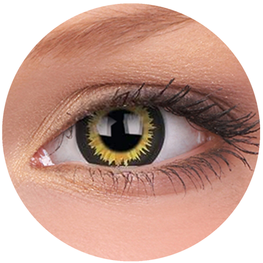 Luminor Contact Lenses