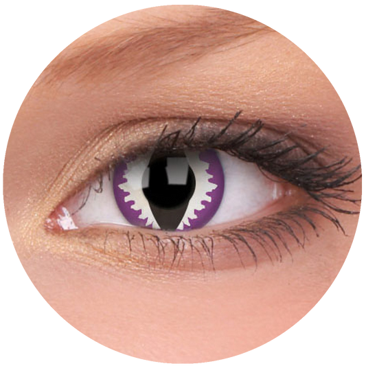 Purple Dragon Contact Lenses
