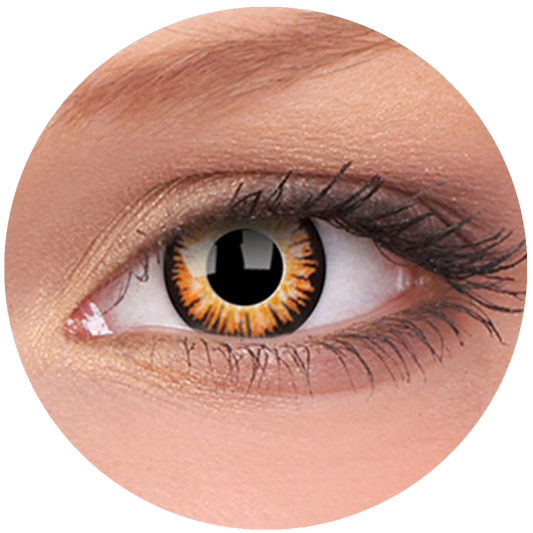 One Day Twilight Contact Lenses