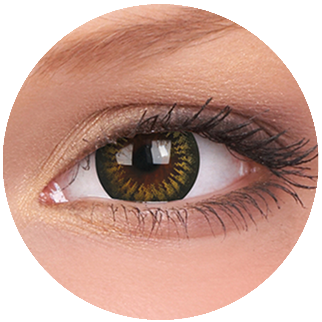 Big Eye - Sweet Honey Contact Lenses – LENS FX